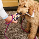 HAY Rope Toy for Dogs in Recycled Polyester - Blue/ Purple/ Ochre