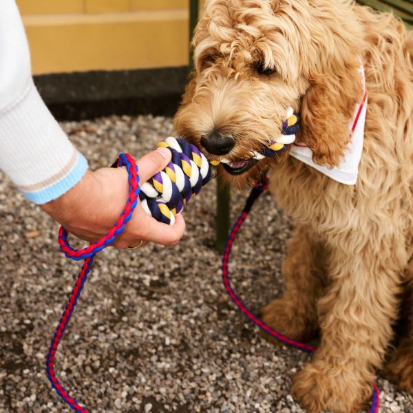 HAY Rope Toy for Dogs in Recycled Polyester - Blue/ Purple/ Ochre