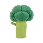 Fresh Produce Zip Pouch - Broccoli