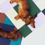 HAY Dog Travel Recycled Polyester Blanket - Lavender/ Green/ Blue