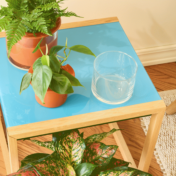 Self-Watering Wet Pots - Medium