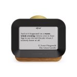 Author Forecast Digital Weathervane - Small