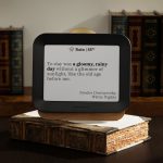 Author Forecast Digital Weathervane - Large
