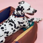 HAY Dog Bed in Recycled Polyester - Multi