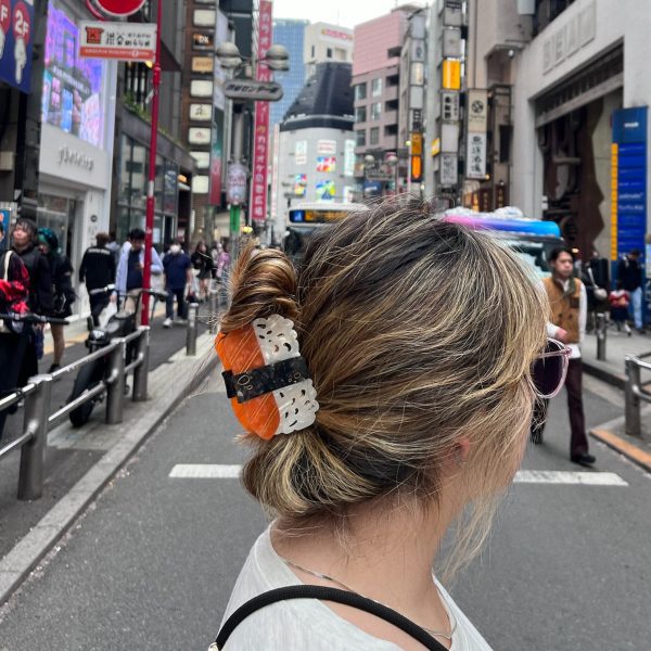 Solar Eclipse Hair Clip - Sushi