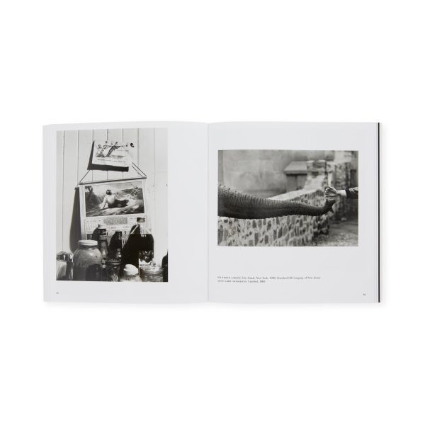 The Photographer's Eye - Paperback