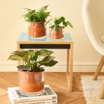 Self-Watering Wet Pots - Medium