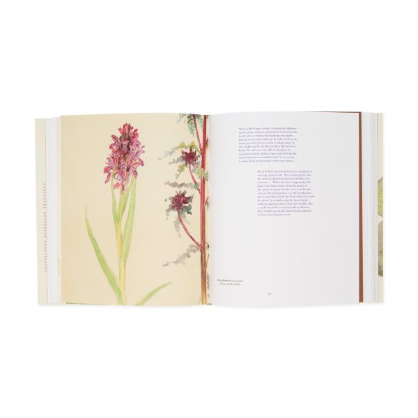 Hilma af Klint: What Stands Behind the Flowers ?C Hardcover