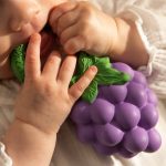 Fruit & Veggie Rattle Toy - Grapes