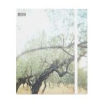 Present Tense: Photographs by JoAnn Verburg - Hardcover