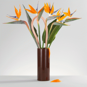 73fd0e83-406f-4e84-8f36-670bb7577882.gif