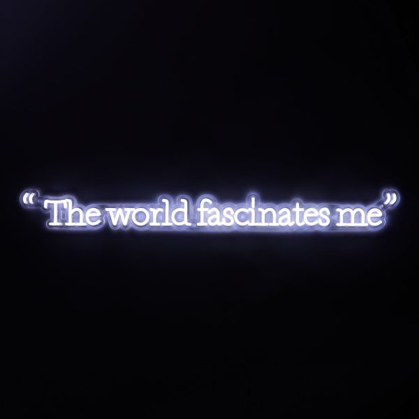 Andy Warhol The World Fascinates Me Quote Neon Sign
