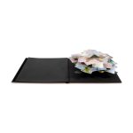 Peter Coffin: Untitled (Spiral Pop-Up Photo Album)
