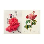 The Rose Book - Hardcover