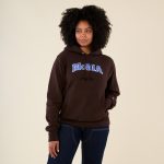 Champion Hoodie - MoMA Edition - Brown/ Blue