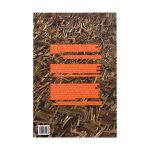 Contemporary Chinese Art: Primary Documents