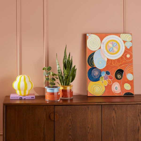Hilma af Klint Youth Framed Print