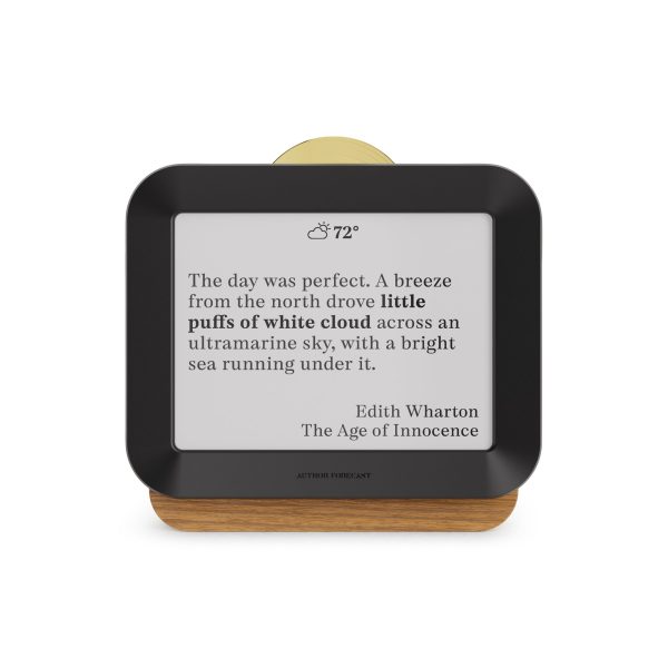 Author Forecast Digital Weathervane - Large