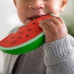 Fruit Teether Toy - Watermelon