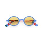 MoMA Henri Matisse Exhibition Catalogue Akila Sunglasses - Blue/ Yellow