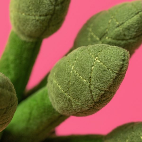 Jellycat Large Veggie Plush Toys - Asparagus