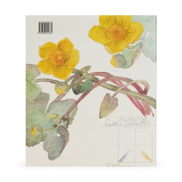 Hilma af Klint: What Stands Behind the Flowers ?C Hardcover