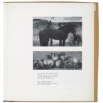 The Mrs. Adele R. Levy Collection: A Memorial Exhibition - Paperback