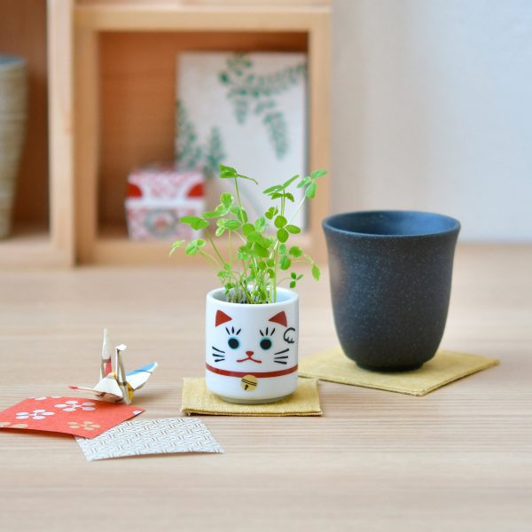 Lucky Mini Planter Kit - Cat / Clover