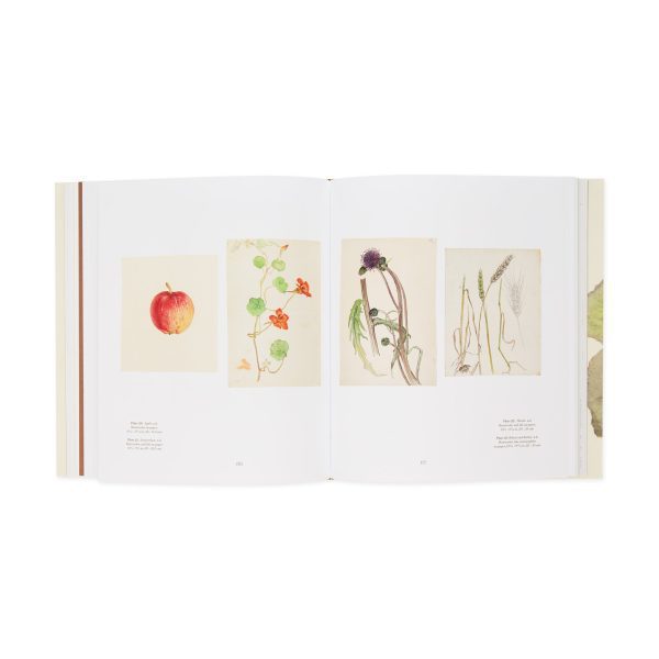 Hilma af Klint: What Stands Behind the Flowers ?C Hardcover