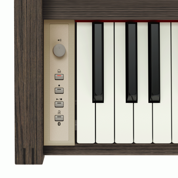Roland Kiyola Piano KF-25 in Smoked Oak